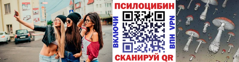Купить где  Добрянка  Псилоцибиновые грибы прущие грибы 